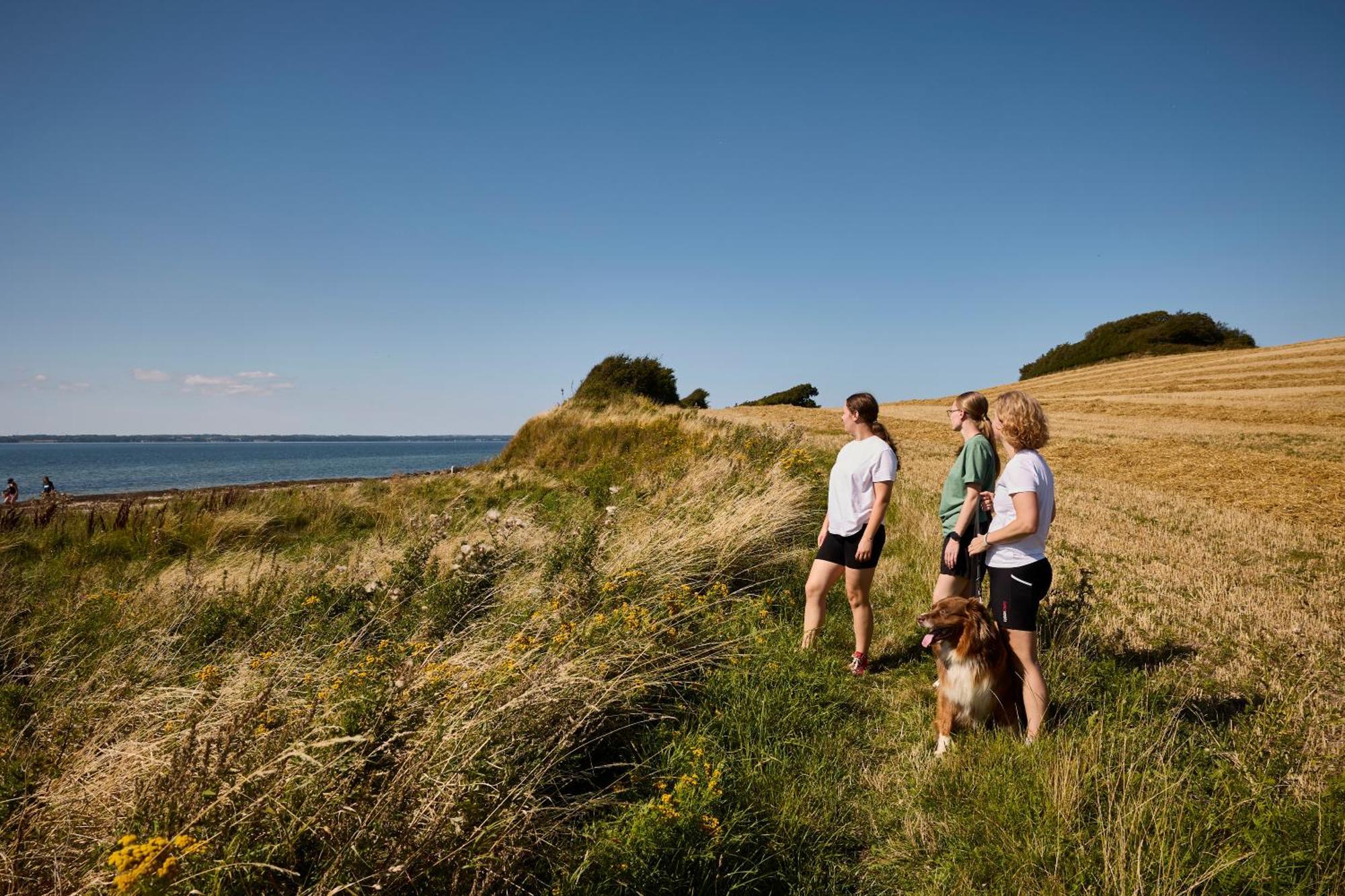 Camping Langeland 4*